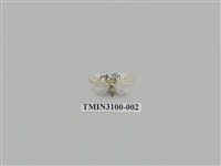 藏品(螟蛾149)的圖片